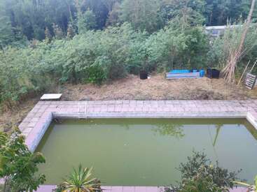 Una piscina rectangular llena de agua verde turbia está rodeada de vegetación frondosa, árboles y algunos objetos dispersos al aire libre, lo que le da un aspecto descuidado y natural.