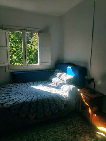 La luz del sol entra a raudales por una ventana abierta e ilumina un acogedor dormitorio con una colcha estampada, una mesita de noche de madera, una lámpara negra y un árbol frondoso que se divisa al exterior. El ambiente es tranquilo.