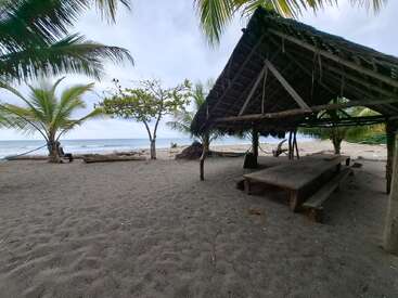 A peaceful beach scene with black sand, palm trees, a rustic wooden shelter with benches, and a person relaxing by the sea under a cloudy sky.