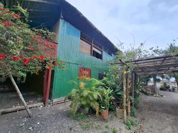 A rustic green wooden house with a thatched roof, surrounded by lush plants and vibrant red flowers, stands next to a pergola on a dirt path.