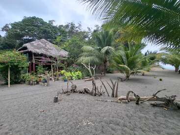 A tropical beach scene with a thatched hut, lush green palm trees, sandy ground, scattered driftwood, potted plants, and cloudy sky, evoking a peaceful atmosphere.