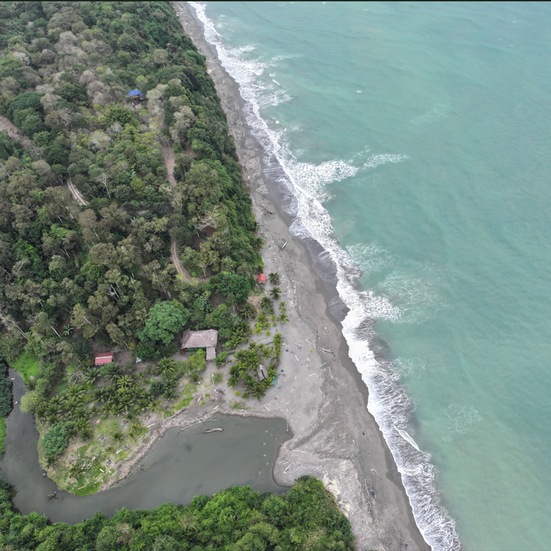 The image depicts a serene beach scene, featuring a tranquil body of water, lush greenery, and a few buildings, all captured from an aerial perspective.