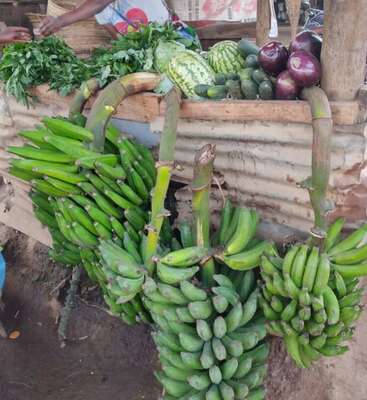 L'image représente un marché en plein air animé, avec un large éventail de produits frais, dont des bananes, des pastèques et des légumes verts, disposés sur des caisses en bois.