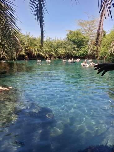L'image représente une scène tropicale sereine, avec un groupe de personnes flottant sur des chambres à air dans une étendue d'eau bleue cristalline, entourée d'une végétation luxuriante et de palmiers.