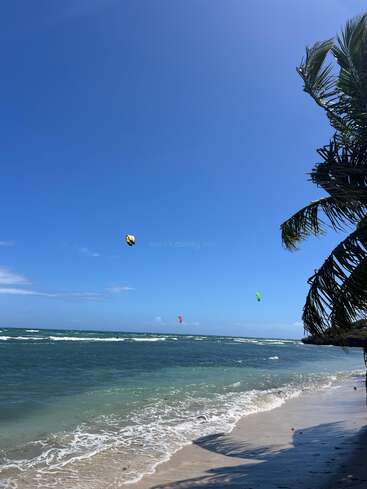 Una preciosa escena de playa tropical con aguas turquesas, sombras de palmeras, un cielo azul claro, tres coloridas velas de kitesurf y suaves olas que rompen en la orilla arenosa.
