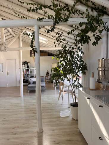 This image shows a bright, open-plan room with white walls and ceiling, wooden floors, indoor plants, kitchen area, cozy seating, and natural sunlight streaming in.