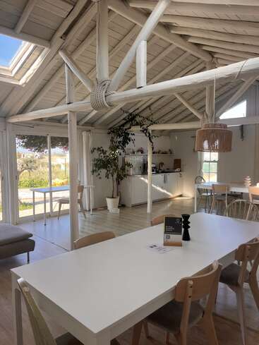 This image shows a bright, airy room with wooden beams, large windows, indoor plants, light furniture, a cozy kitchen, and serene natural light entering the space.