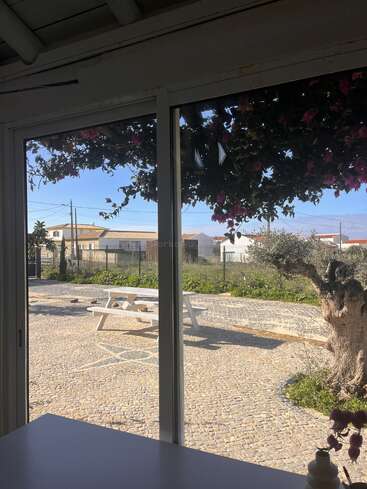 Sunlight streams through a glass door. Outside, a cobblestone patio features a white picnic table, blooming tree, and distant houses under a clear blue sky.