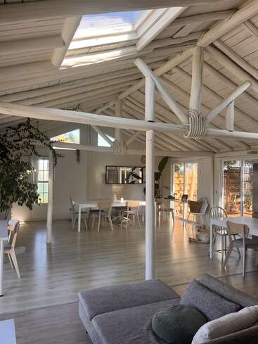 This spacious, sunlit room features white wooden beams, large plants, light wooden floors, modern furniture, skylights, and a lounging dog, creating a calm, inviting atmosphere.