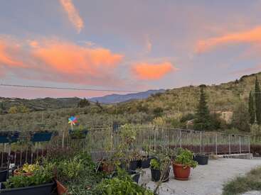 Esta imagen muestra un apacible jardín con plantas en macetas, con vistas a ondulantes colinas verdes. El cielo brilla con hermosas nubes anaranjadas al atardecer, creando una atmósfera serena.