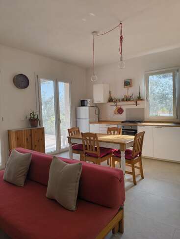 Bright, cozy kitchen and dining area with wooden furniture, red cushions, a red sofa, modern hanging lights, potted plants, and large windows letting in natural light.