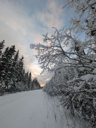 Eine verschneite Straße wird bei Sonnenuntergang von schneebedeckten Bäumen flankiert. Der Himmel ist teilweise bewölkt und hat einen Hauch von Rosa, was auf einen friedlichen Winterabend hindeutet.