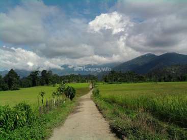 The image depicts a serene landscape featuring a dirt path, lush green fields, and majestic mountains under a blue sky with white clouds.