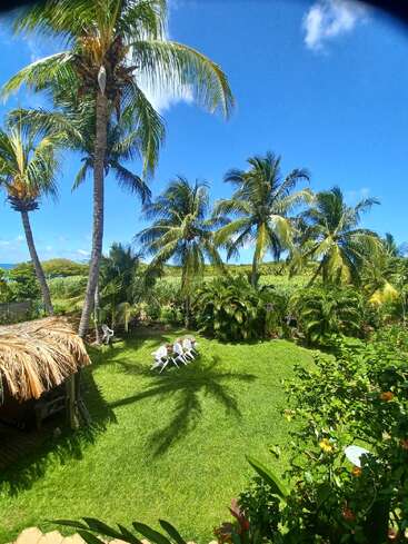 This image shows a tropical garden with tall palm trees, vibrant green grass, scattered white chairs, a thatched-roof hut, and a bright, sunny blue sky.