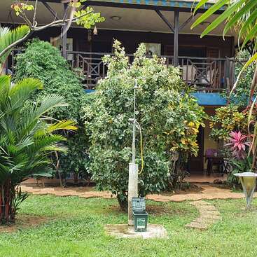 A lush garden with various tropical plants surrounds a two-story house with a balcony. A metal pole and utility box stand in the grassy foreground.