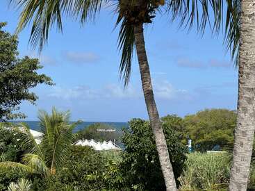 A tropical scene with tall palm trees, lush greenery, white rooftops, and a glimpse of the blue ocean under a clear, sunny sky with scattered clouds.