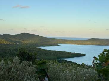 A serene landscape view of lush green hills and calm blue water, with dense foliage in the foreground under a clear sky at sunset. Peaceful, natural beauty.