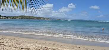 A serene beach scene features gentle waves lapping onto sandy shores, clear blue water, palm leaves above, distant green hills, fluffy clouds, and a lone swimmer.