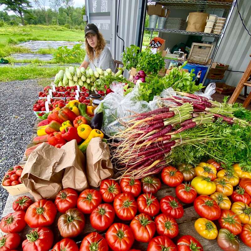 An einem lebhaften Marktstand werden frische Gemüsesorten angeboten: Tomaten, Paprika, Karotten, Kräuter und Blattgemüse. Hinter dem Stand sitzt eine Person, umgeben von Natur und frischem Obst und Gemüse.