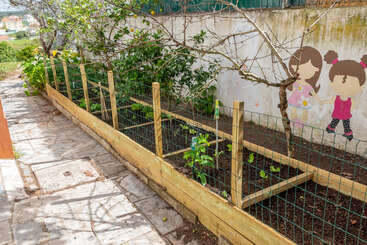 L'image représente un jardin clôturé, avec une rangée d'arbres et une zone herbeuse. La scène a pour toile de fond un ciel clair et une étendue d'eau.