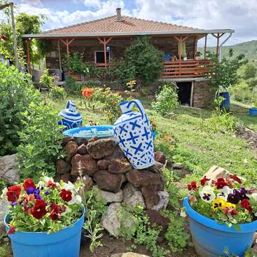 A charming countryside house with a red-tiled roof, surrounded by lush greenery, colorful flowers in blue pots, and decorative blue-and-white jugs in the garden.