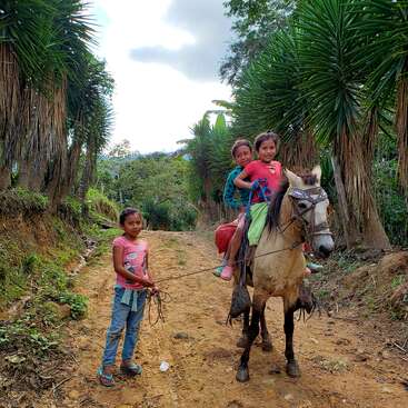 Drei fröhliche Kinder sind draußen auf einem Feldweg, umgeben von viel Grün. Zwei reiten auf einem Pferd, während ein Mädchen daneben steht und die Zügel hält.