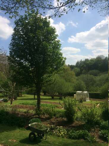 The image depicts a serene garden scene with a tree, wheelbarrow, greenhouse, and lush greenery, set against a blue sky with white clouds.