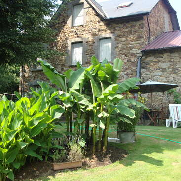 The image depicts a charming stone house with a lush garden, featuring banana plants and a patio area, exuding a sense of serenity and natural beauty.