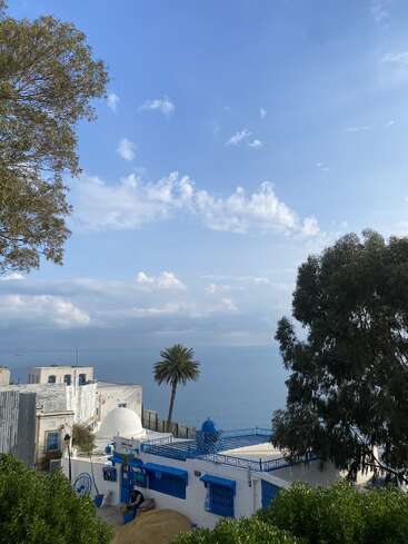 Un pintoresco pueblo costero con edificios blancos con toques azules, exuberante vegetación, palmeras y un cielo azul claro y amplio con vistas al tranquilo mar. Ambiente apacible.
