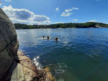 Tres personas nadan en un lago tranquilo y cristalino rodeado de costas rocosas y un denso bosque verde bajo un cielo azul brillante con nubes esponjosas dispersas.