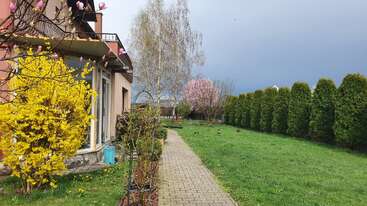 Un jardín junto a una casa presenta flores amarillas y rosadas en flor, césped verde, un camino pavimentado, árboles altos y un cielo nublado, que irradia la tranquilidad de la primavera.