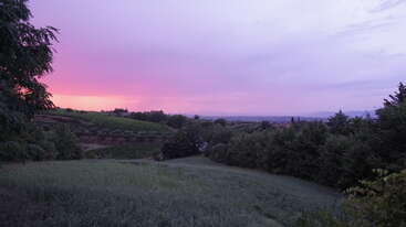 Eine friedliche Landschaft mit grünen Feldern und üppigen Bäumen unter einem dramatischen Himmel, der von einem sanften violetten und rosa Abendrot erhellt wird und eine friedliche Ruhe ausstrahlt.