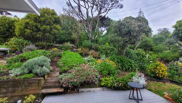 Cette image montre un jardin luxuriant et coloré sur une pente, rempli de diverses plantes à fleurs, d'arbustes et d'arbres. Un petit patio avec une table ronde apparaît.