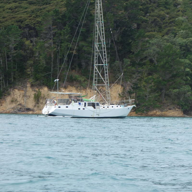 L'image représente un voilier blanc ancré dans l'eau, avec un grand mât et une voilure verte, sur fond de colline forestière luxuriante.