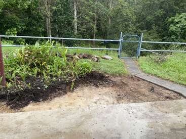 A garden with green plants and pink flowers borders a concrete path leading to a blue metal gate, surrounded by grass and a forested background.