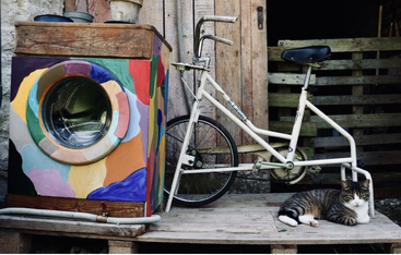 Uma máquina de lavar colorida está conectada a uma bicicleta ergométrica, provavelmente movida a pedal. Um gato relaxado está próximo em uma plataforma de madeira, com um ambiente rústico de madeira ao fundo.