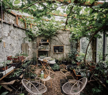 A cozy greenhouse filled with lush plants, rustic shelves, and gardening tools. Two chairs and a table create a relaxing, inviting atmosphere amid the greenery.