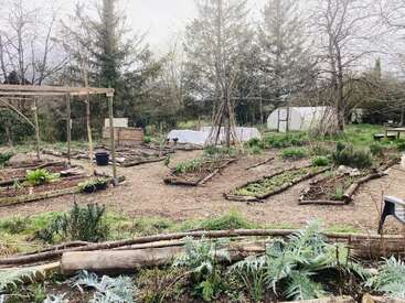 A rustic vegetable garden features raised beds outlined with logs, seedlings, trellises, a greenhouse, and wooden structures, surrounded by trees and lush greenery in spring.