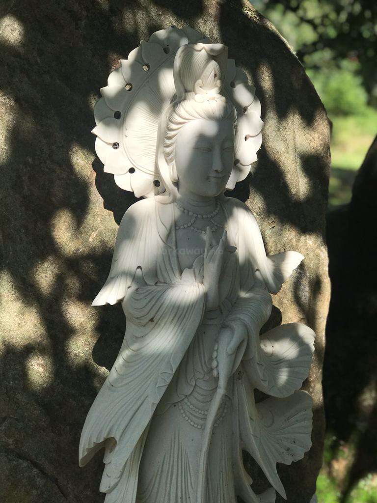 Una serena estatua de piedra blanca de una figura con túnica, posiblemente Kuan Yin, se yergue grácil contra una gran roca, rodeada de luz solar moteada y suaves sombras.