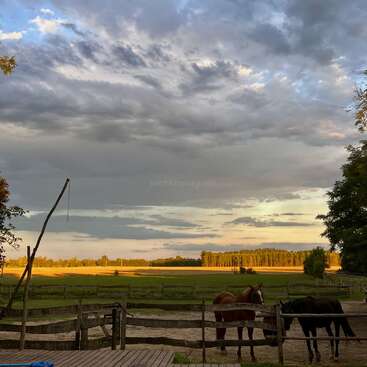 Deux chevaux se tiennent dans un enclos sous un ciel dramatique et nuageux. Le soleil se couche, projetant une lumière dorée sur les champs, les arbres et le paysage rural paisible.