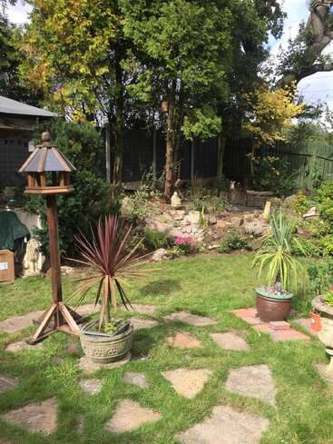 Una tranquila escena de jardín con césped verde y frondoso, plantas en macetas, un sendero de piedra, árboles altos, un comedero de madera para pájaros, arbustos y adornos decorativos bajo un cielo soleado.