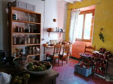 This cozy pantry kitchen features shelves of jars and grains, a sunlit window with floral curtains, two wooden chairs, fresh fruit, and preserves neatly stacked.