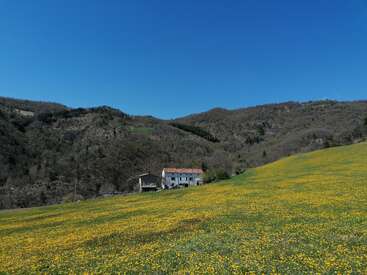 A white house with a red roof sits on a green hillside covered in yellow wildflowers, surrounded by mountains under a clear blue sky.