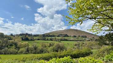 Eine üppig grüne Landschaft mit sanften Feldern, vereinzelten Bäumen und einem Hügel unter einem teilweise bewölkten Himmel. Helles Sonnenlicht lässt das leuchtende Laub erstrahlen und schafft eine friedliche, malerische Aussicht.
