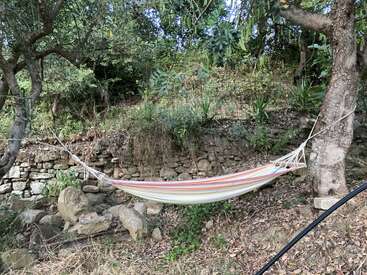 Una hamaca a rayas atada entre dos árboles en una tranquila zona boscosa con un muro de piedra, rocas y plantas verdes rodeando la relajante escena.