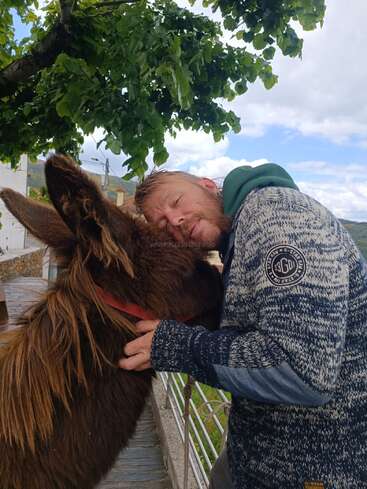 Ein Mann umarmt liebevoll einen braunen Esel unter einem belaubten Baum. Er trägt einen gemusterten Pullover, und beide wirken sehr entspannt und teilen einen zärtlichen, friedlichen Moment miteinander.