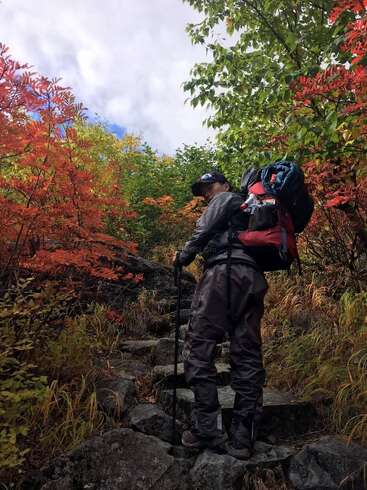 Eine Person steht auf einem Felsen, von der Kamera abgewandt, trägt einen Rucksack und hält einen Wanderstock, umgeben von Bäumen mit leuchtend roten und grünen Blättern.