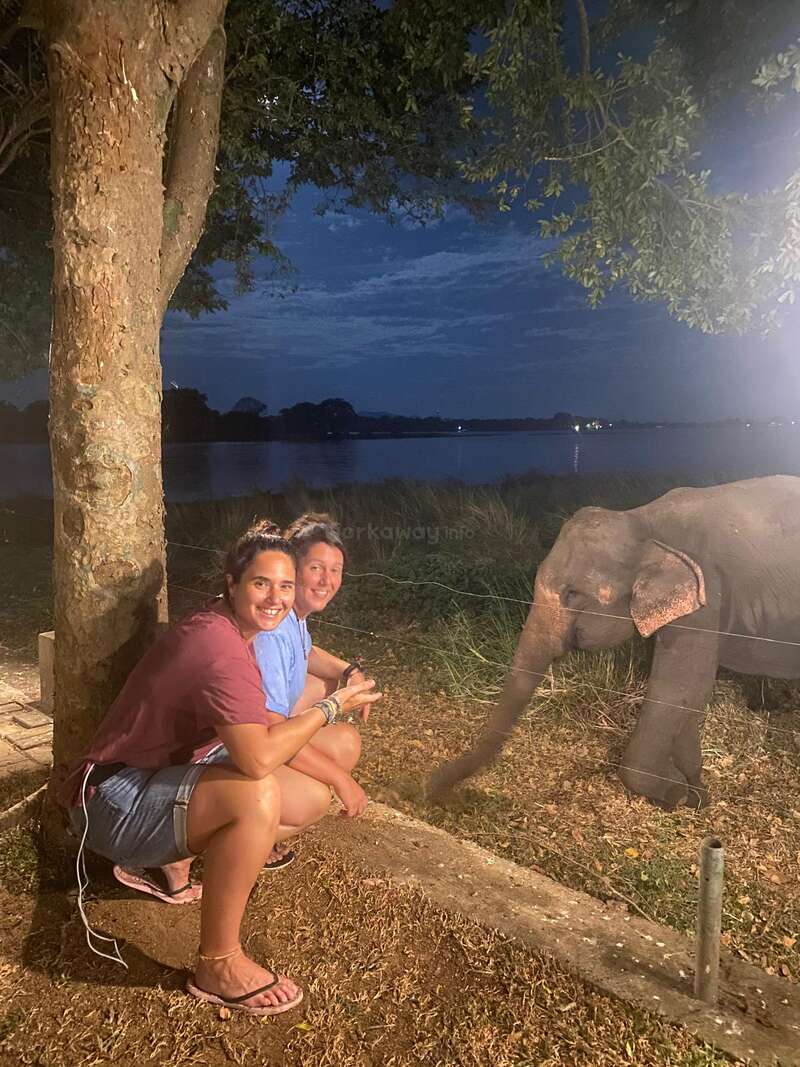 Deux femmes s'accroupissent et sourient sous un arbre, la nuit, à côté d'un éléphanteau qui s'étire à travers une clôture, avec derrière elles un paysage serein au bord d'un lac.