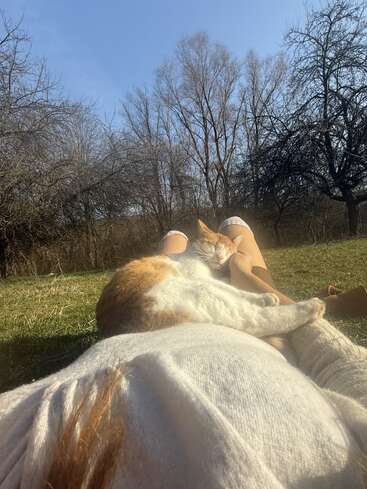 Une personne est allongée sur l'herbe dans un champ, avec un chat reposant confortablement sur ses jambes. Des arbres dénudés et un ciel bleu clair complètent cette scène paisible.