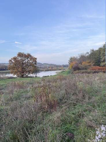 Un paysage paisible composé d'un champ herbeux, d'un arbre solitaire et d'une rivière tranquille, entouré de feuillages d'automne sous un large ciel bleu clair avec de doux nuages.